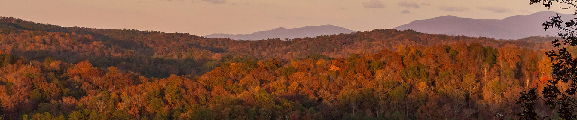 Hotels with Hot Tubs in Georgia