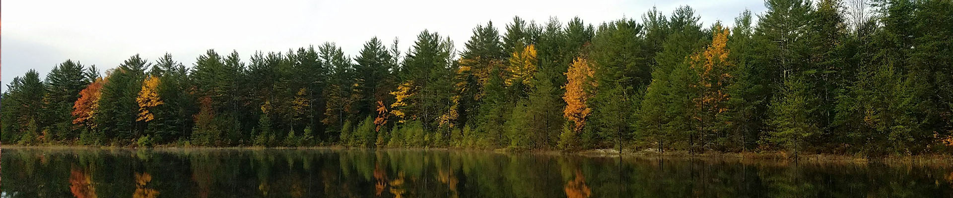 Hotels with Hot Tubs in Michigan